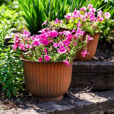 Carlotta Metal Outdoor Planter - Set of 2