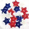 30 pz 4 luglio stella Rattan decorazione rosso blu bianco stelle per il 4 luglio Independence Day
