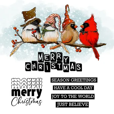 Mangocraft Christmas Bird Metal Cutting Dies Clear Stamps DIY Scrapbook Embossed Handmade Cards