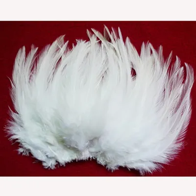 wholesale natural 50pcs/lot Beautiful white Pheasant Neck Feathers 10-15cm/4-6''