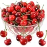 10 pz artificiale ciliegia frutta ciliegie finte simulazione rosso nero ciliegie decorazioni modello
