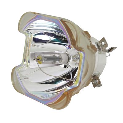 AL™ Series RS-LP12 Lamp (Bulb Only) for Canon Projectors - 90 Day Warranty
