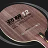 DHS POWER-Raquette de tennis de table G af 12 raquette de ping-pong raquette de batte 5 + 2 verre