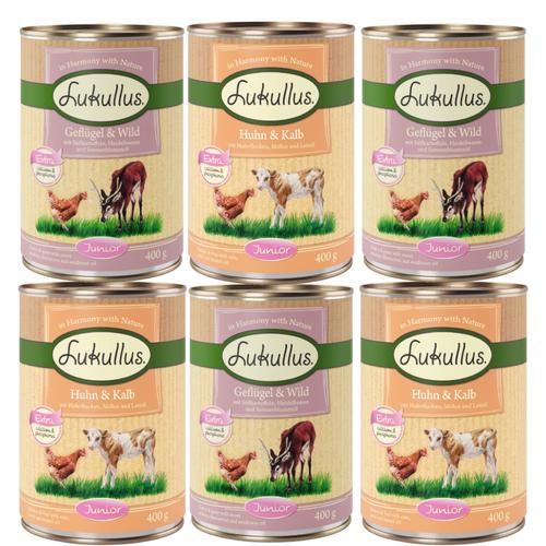 10 + 2 gratis! 12 x 400 g Sparpaket Lukullus Naturkost - Mixpaket 5 Junior (2 Sorten)