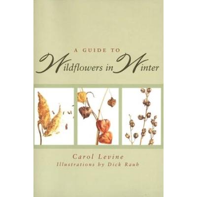 A Guide To Wildflowers In Winter: Herbaceous Plants Of Northeastern North America