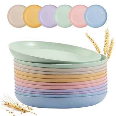 6pcs Reusable Plastic Plates 9 Inch, Unbreakable Lightweight Wheat Straw Plates, Salad Plates, Camping Plates, Dishwasher & Microwave Safe, Green And Healthy Dishes, Kitchen Supplies