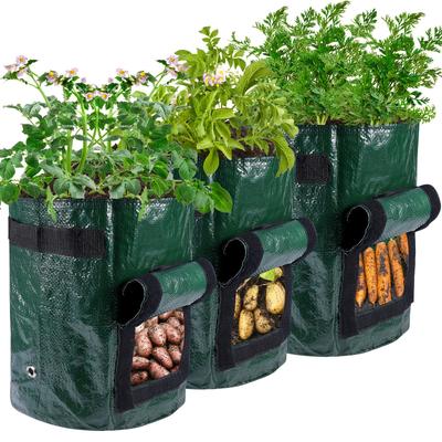 Grow Your Own Vegetables With This Diy Potato Grow...