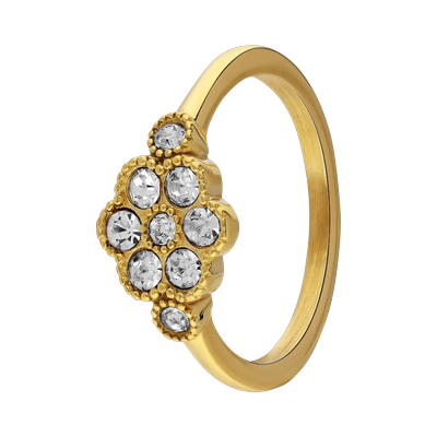 Lucardi Ring Stahl - Gelbgold 57mm Damen Image