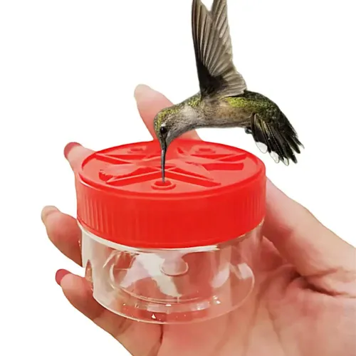 Nektar Fütterung station Tasse Haushalt Kolibri Trinker Handheld Outdoor Vogelfutter behälter Garten