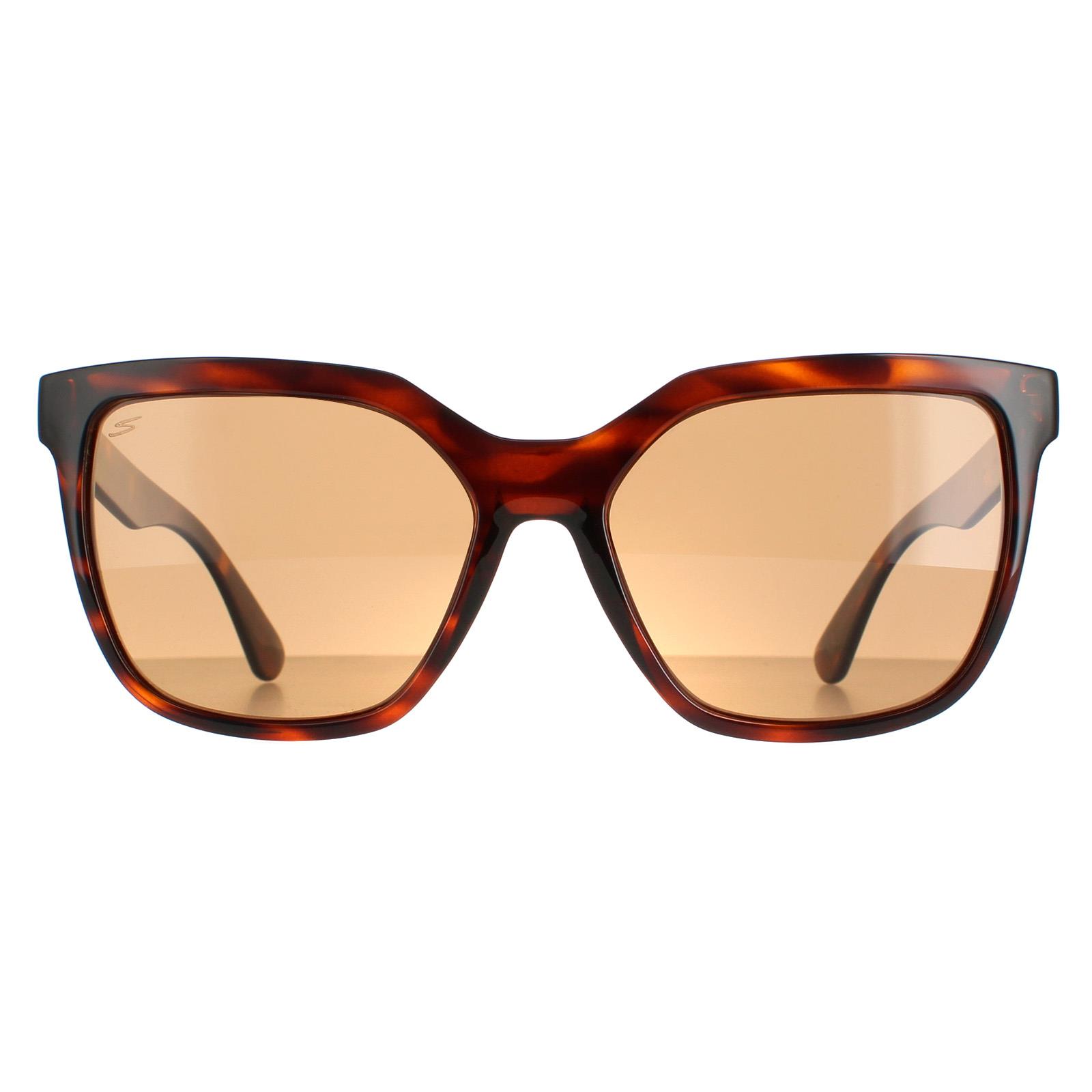 Serengeti Square Womens Shiny Tortoise Saturn Polarized Drivers Wakota Image