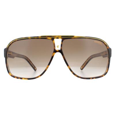 Carrera Aviator Herren Havanna Braun Gradient Sonnenbrille