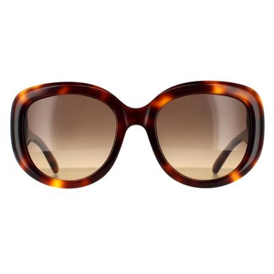 Salvatore Ferragamo Oval Damen Schildkröte Braun Gradient Sonnenbrille