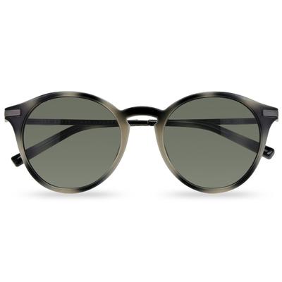 Ted Baker Ashton Sonnenbrille Herren