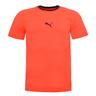 Puma EvoTRG Mens EvoKnit Training Top Short Sleeve T-Shirt Fiery Coral 655332 06 - Size Small | Puma Sale | Discount Designer Brands