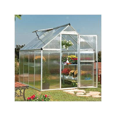 Palram-Canopia Mythos 6' x 8' Hobby Greenhouse (Silver)