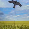 Vögel erschrecken Falke fliegen Kite simuliert Falke Blitz reflektierende erschrecken Windkraft
