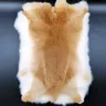 Pelle di coniglio naturale capelli di coniglio reale pelle di coniglio Rex intera pelle di coniglio