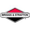 Kit di revisione carburatore Briggs and Stratton - 594375