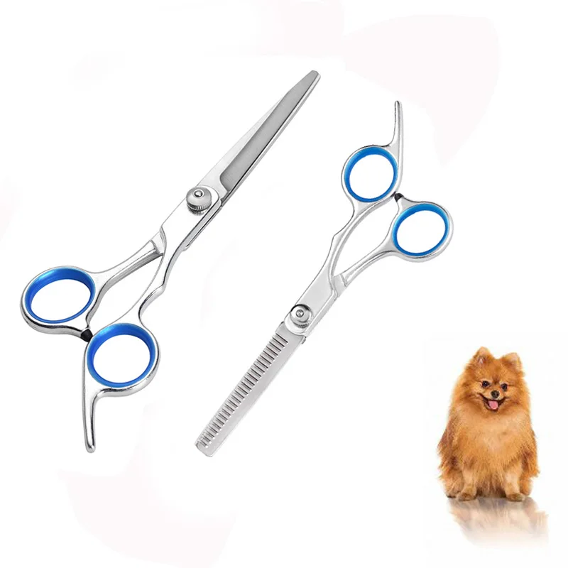 6 Zoll Tierhaar Schere Haustiere Schere Tiers ch neiden Pflege Edelstahl Hundes chere Füße Ohr Auge Haars ch neiden Image