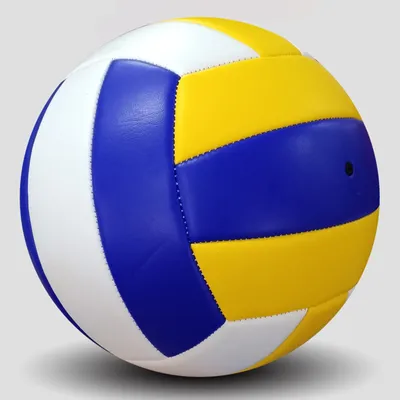 Ballon de volley-ball No.5 1 pièce résistant à l'eau 20.5cm doux et hermétique compétition pour