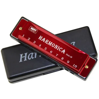 Harmonica Key of C 10 Hole Diatonic Harmonica C with Case for Beginner Students Kids Gift BLUES with