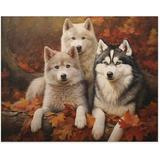 Wooden Puzzles - Dogs in Forest Three Huskies in Autumn Park-Jigsaw Puzzle 500 Pieces for Adults and Kids Card Game Cute Animals Large Puzzle Educational Games Decompression Toys Best Gift