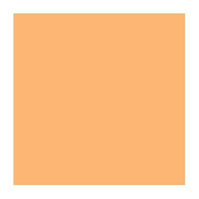 Rosco Used E-Colour #204 Full CT Orange (48