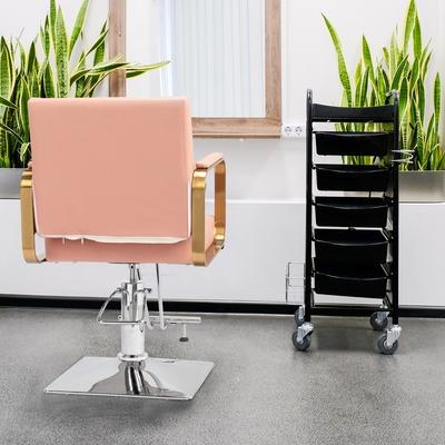 PVC Leather Stainless Steel Armrests Footrests Square Chassis Salon Chair - N/A