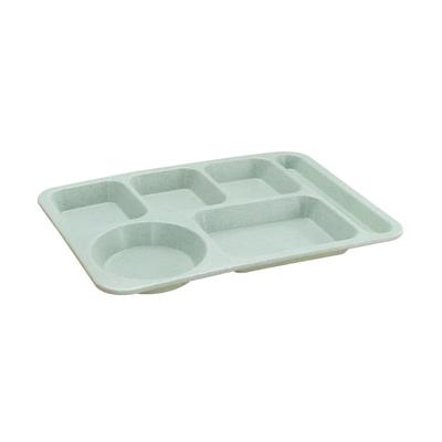 TEMU Outdoor Food Tray With Compartments, Divided Dinner Plate Dinner Dish Serving Food Plate Image