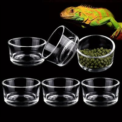 6pcs Glass Reptile Feeder Food Bowl, Food Basin Tr...