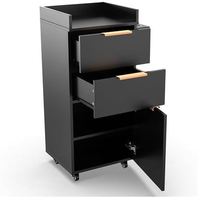 OmySalon Salon Trolley with Wheels, 2 Drawers & 1 Storage Cabinet