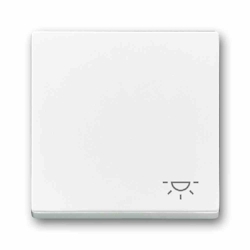 Busch-Jaeger Wippe einteilig, Schalter/Taster, studioweiß, glänzend, Symbol Licht Image