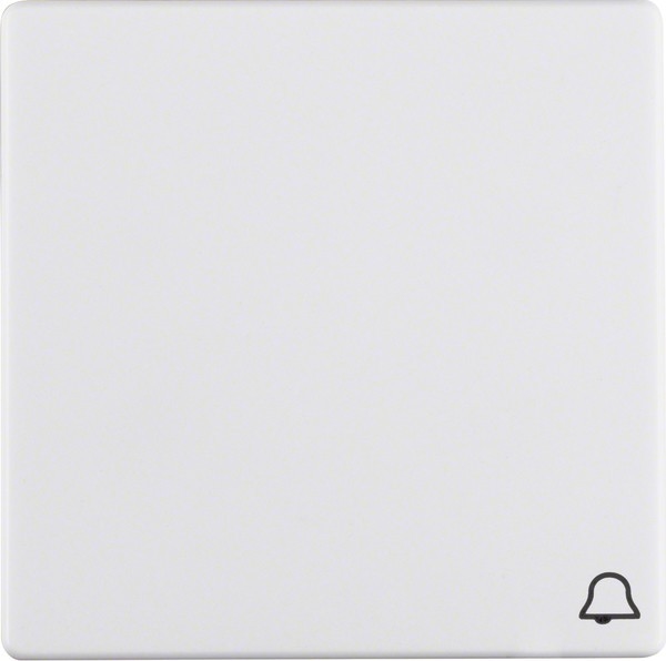 Berker Wippe 16206059 Image