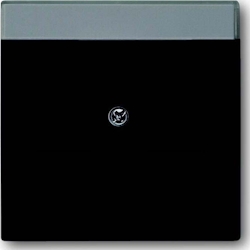 Busch-Jaeger Zentralscheibe sw mt 1800-885 2CKA001710A3910 Image