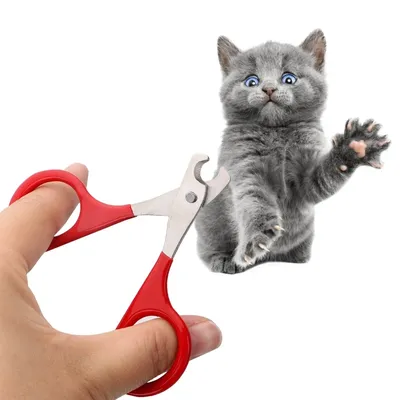 Katzen-Nagelknipser für kleine Hunde, Katzen, Welpen, Krallenschneider, Haustiernägel, Schere, Image