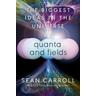 Quanta and Fields - Sean Carroll