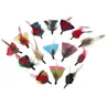 Assorted Real feathers Clothing Decor Feathers Colorful Natural feather Mix color Hat feathers DIY