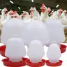 Automatische Hühnertränke für Geflügelvögel hängende Hühnertränke mit leicht zu reinigender