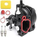 Rapanda - Kit carburatore compatibile con Brigg Stratton 799583 591160 593261 591110 Parti motore e