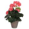 Mica Decorations Geranie Lachs Geranium Pvc Mit Grauem Topf