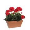 Mica Decorations Geranie Pvc Rot Geranie In Balkon Pflanzer 29X13X40Cm