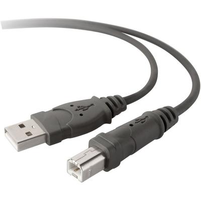 Belkin - USB-Kabel usb 2.0 usb-a Stecker, usb-b Stecker 3.00 m Grau F3U133b10 Image