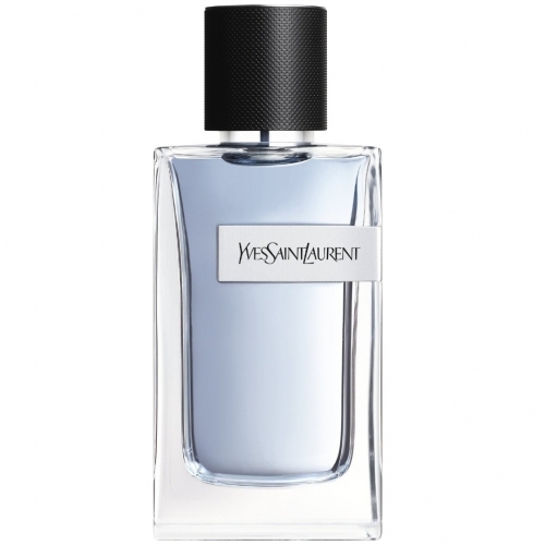 YSL Y für Männer Edt Spray 100 ml Image