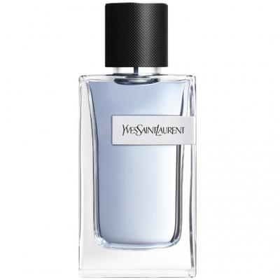 YSL Y für Männer Edt Spray 100 ml