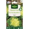 Vilmorin - Chicorée Frisée Très Fine Maraîchère 3