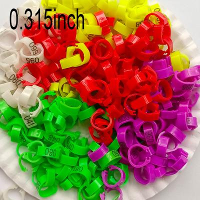 100pcs Snap-on Poultry Foot Ring, Reusable Pigeon ...