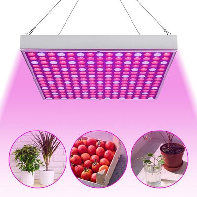 Pflanzenlampe 15W led Grow Light Pflanzenlicht 225 LEDs Rot Blau Licht Grow Lampe Vollspektrum Image