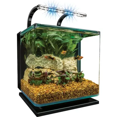 Contour Glass Aquarium Kit with Rail Light