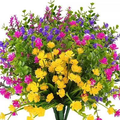 Flowers+Plants