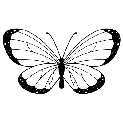 Wanddekoration Schmetterling aus Metall, 70x39 cm, schwarz
